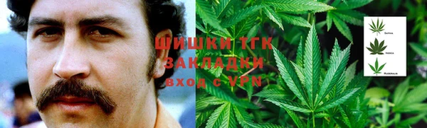 ГАЛЛЮЦИНОГЕННЫЕ ГРИБЫ Алексин